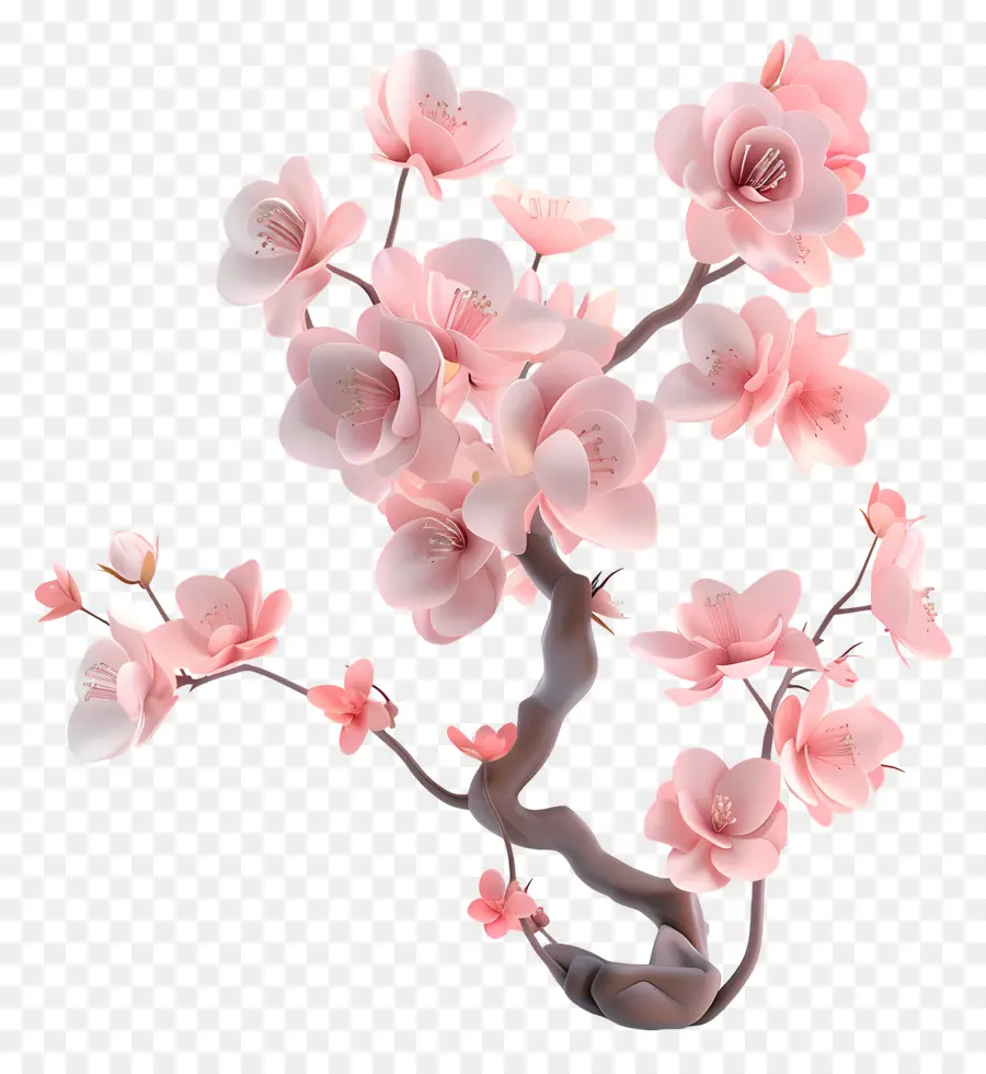 Sakura，Pohon Magnolia PNG