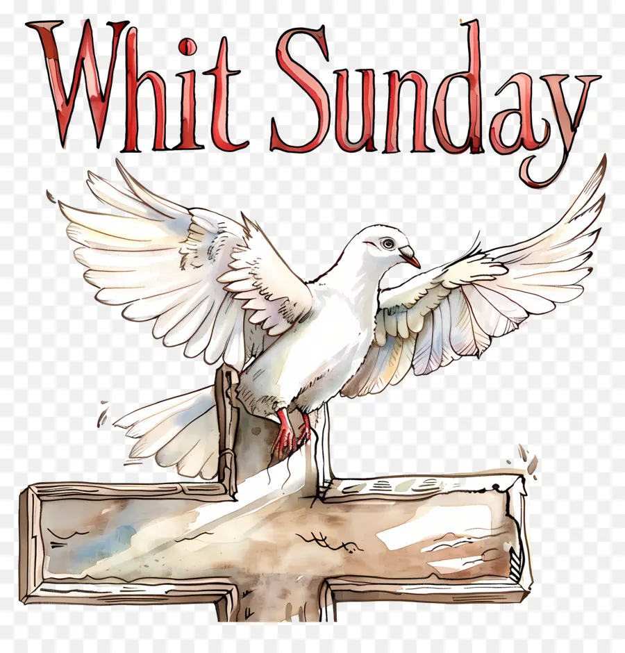 Whit Minggu，Merpati Putih PNG