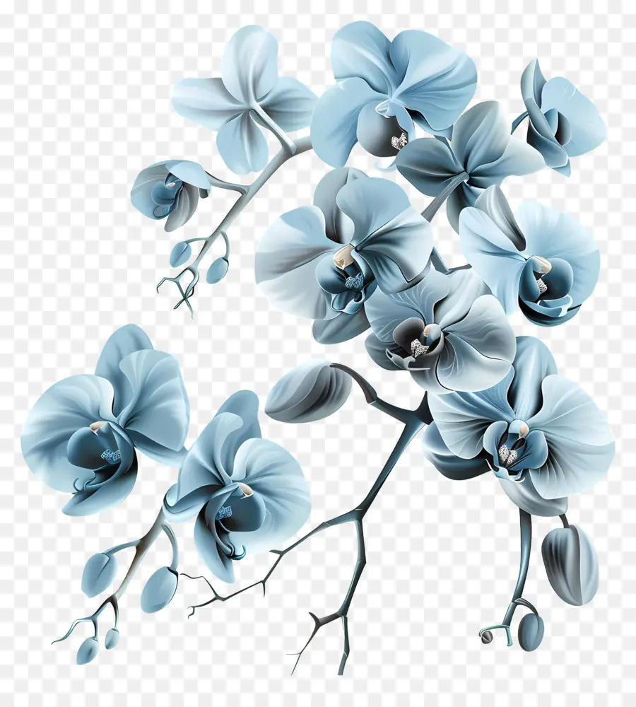 Anggrek Biru，Karangan Bunga PNG