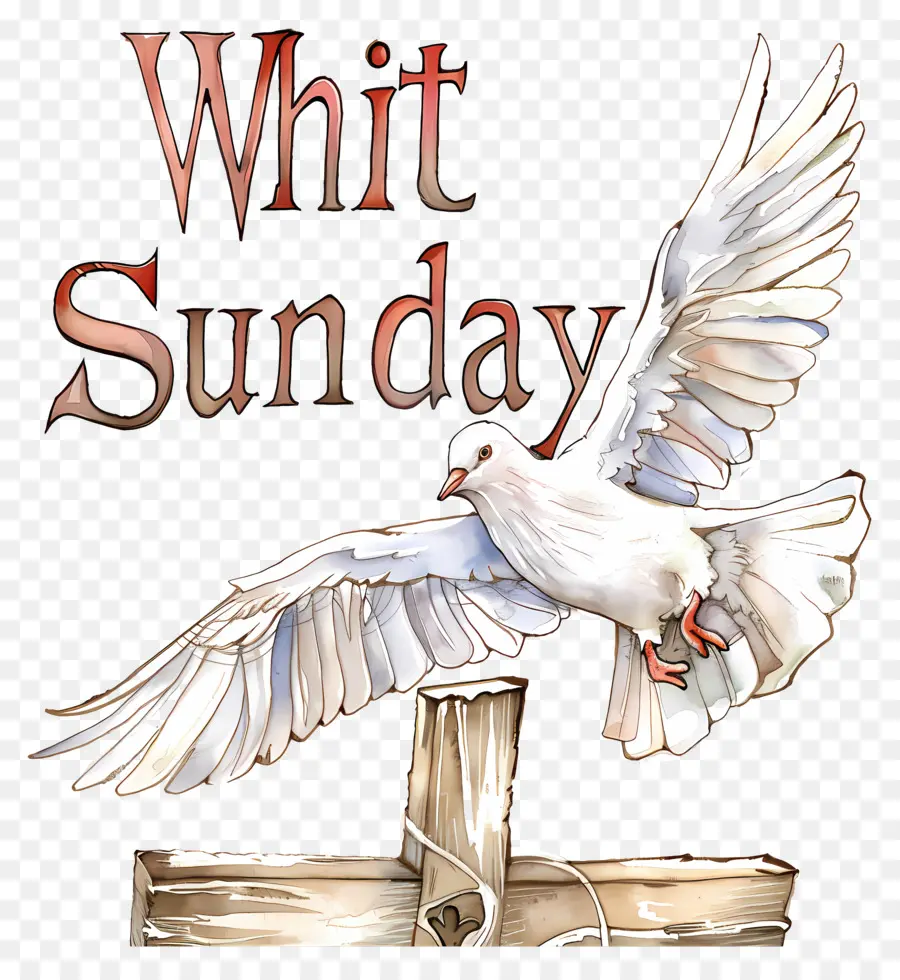 Whit Minggu，Merpati Putih PNG