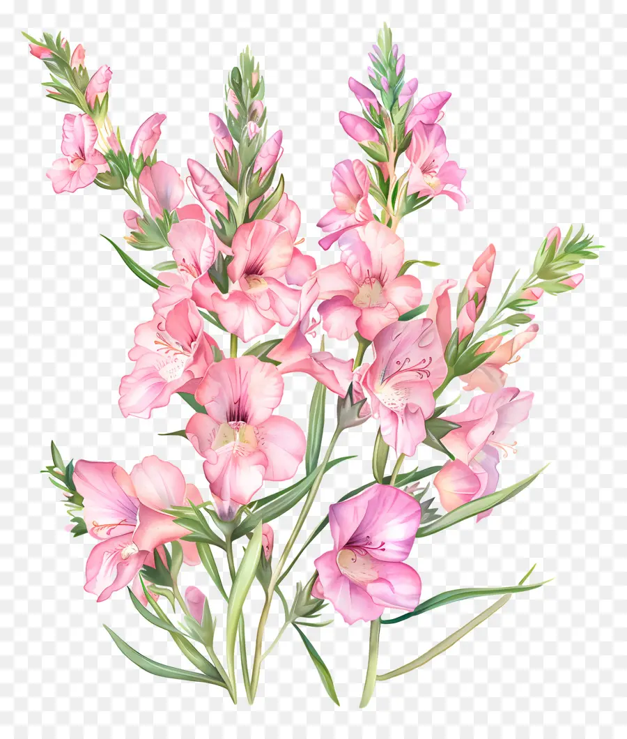 Bunga Snapdragon Merah Muda，Bunga Merah Muda PNG