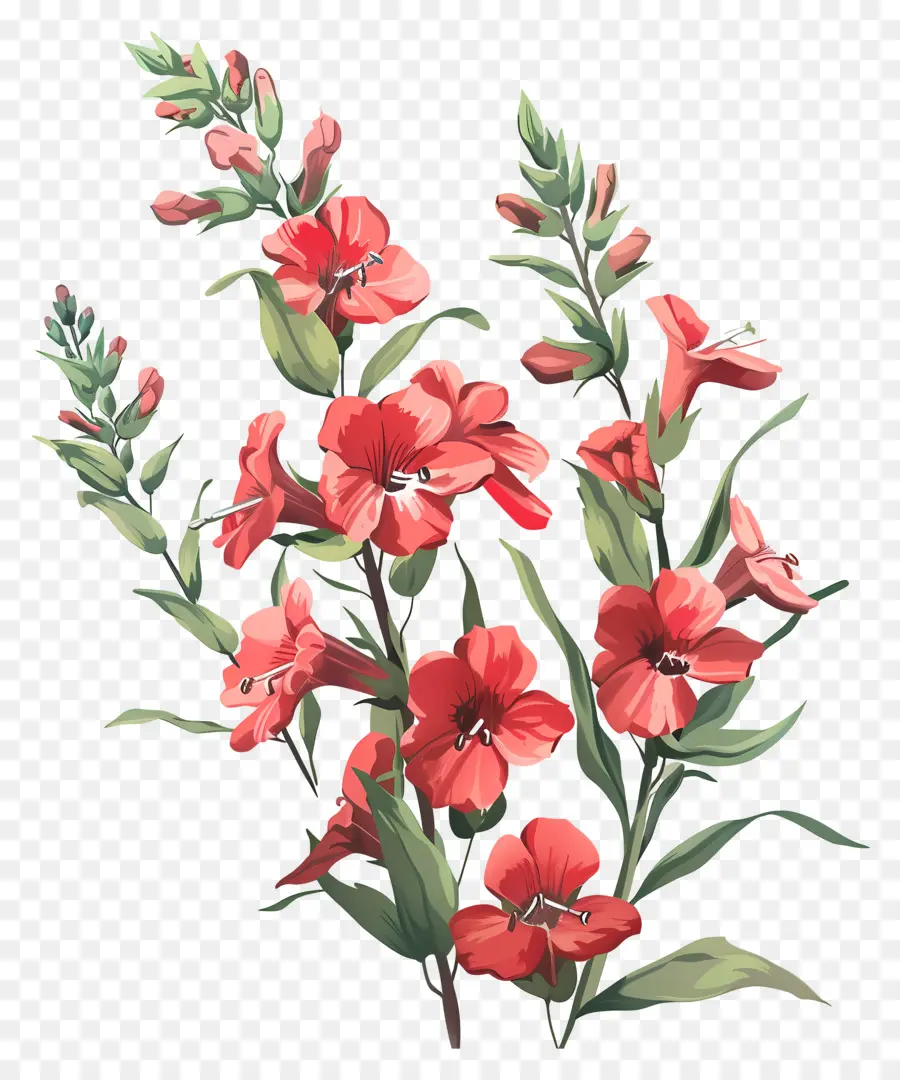 Bunga Snapdragons Merah，Bunga Merah PNG
