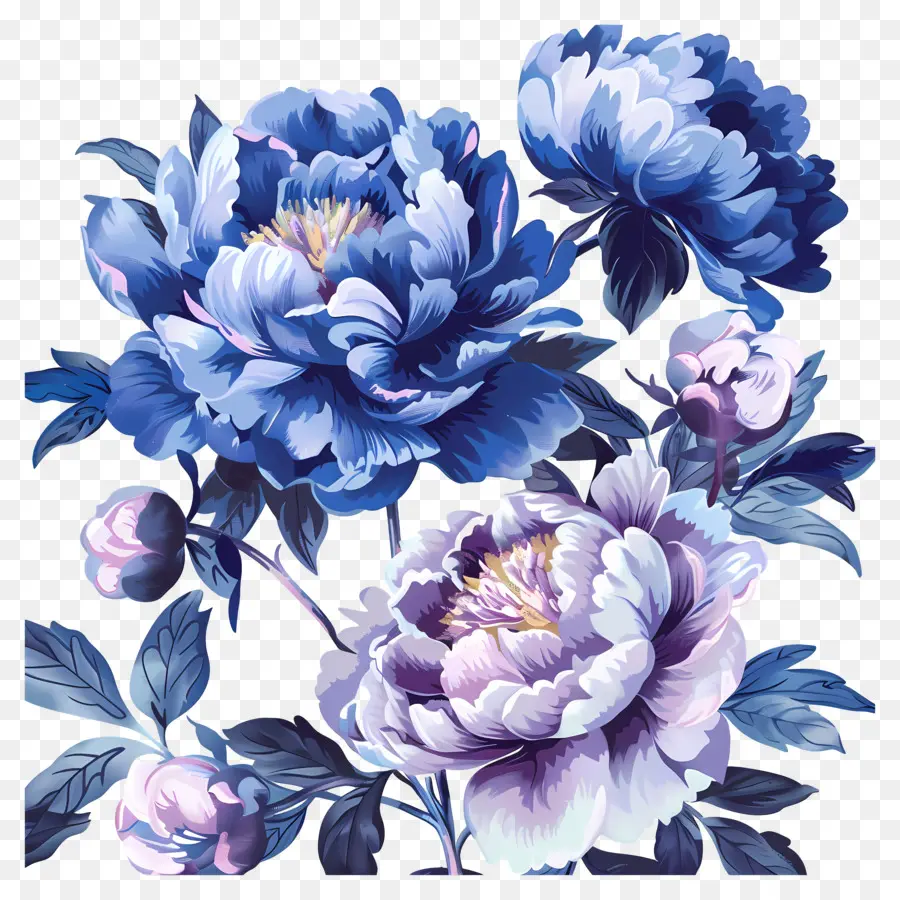 Peony Biru，Peony PNG