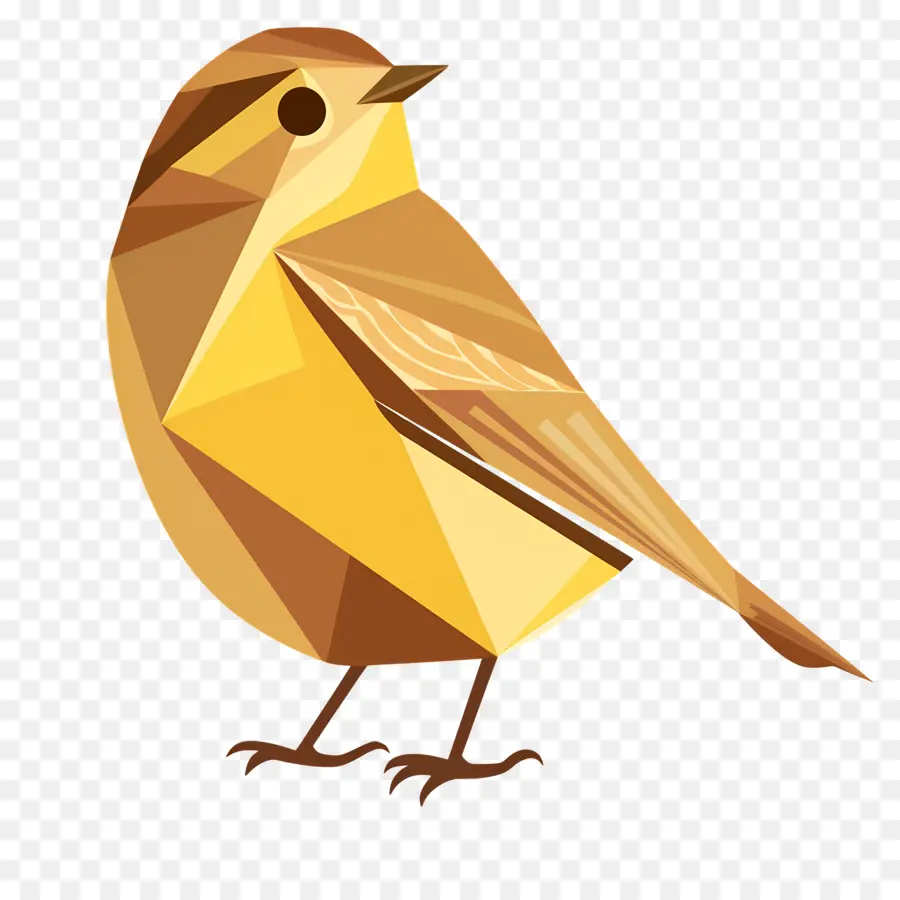 Burung Di Malam Hari，Burung Kuning PNG