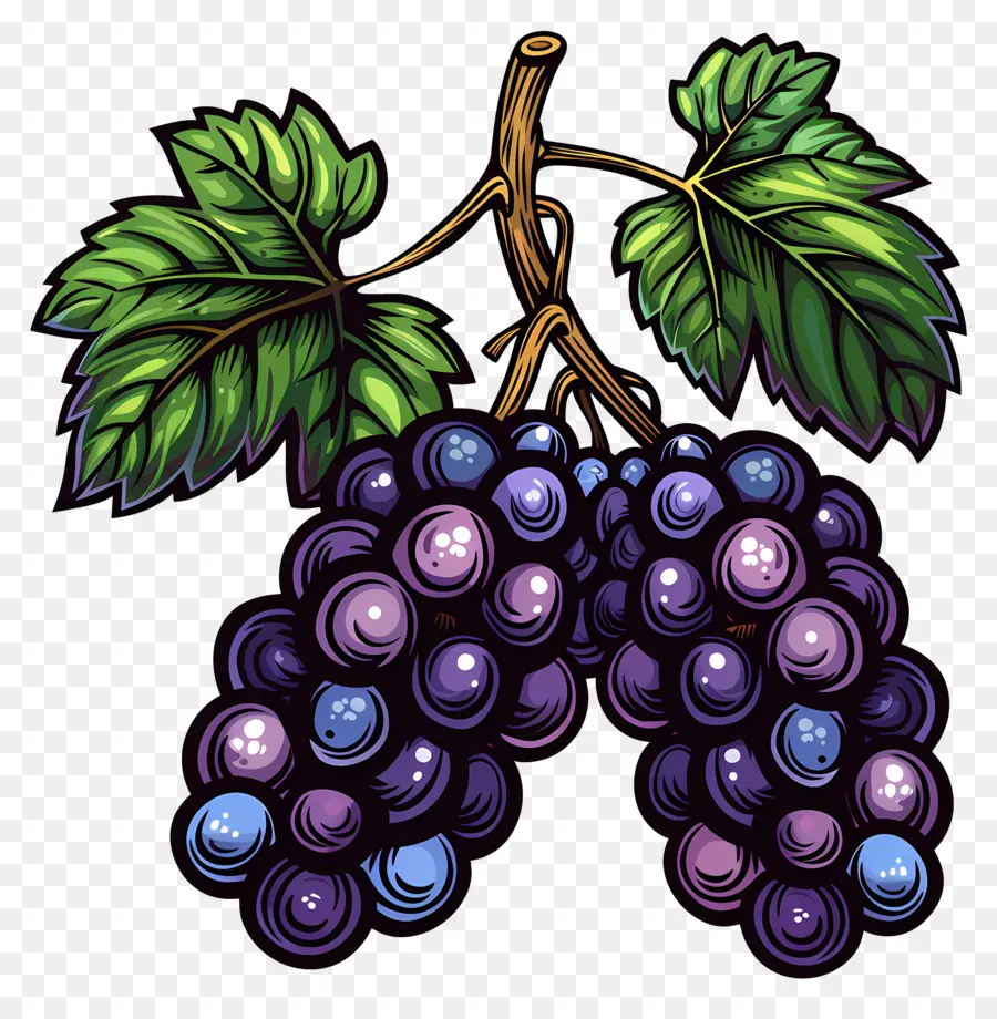 Anggur，Kebun Anggur PNG