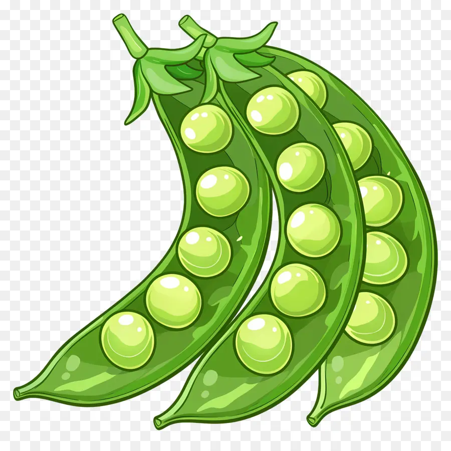 Kacang Polong，Kacang Hijau PNG