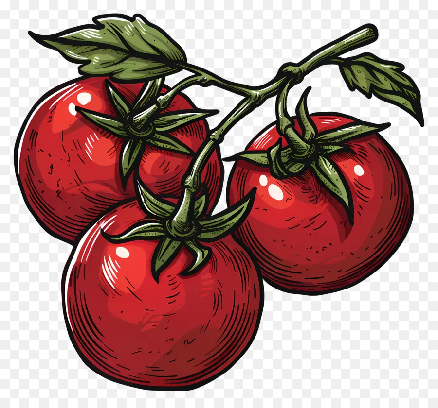 Tomat Anggur，Tomat Merah PNG
