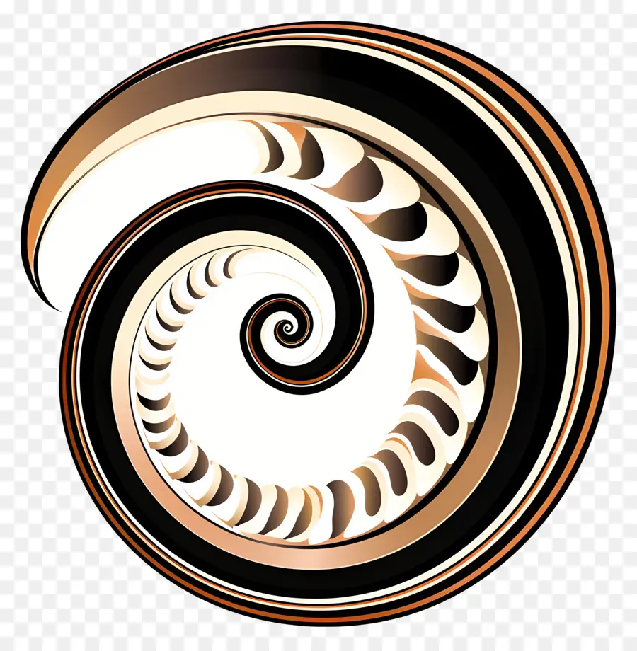 Spiral，Pola Spiral PNG