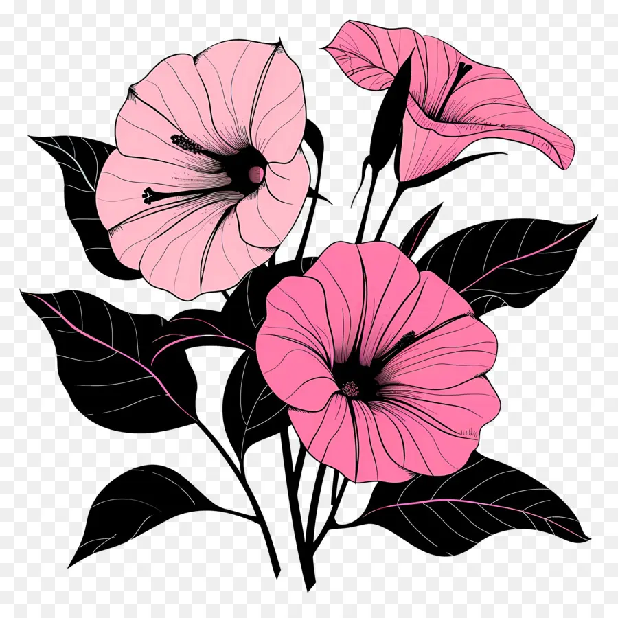 Kemuliaan Morning Pink，Bunga Merah Muda PNG