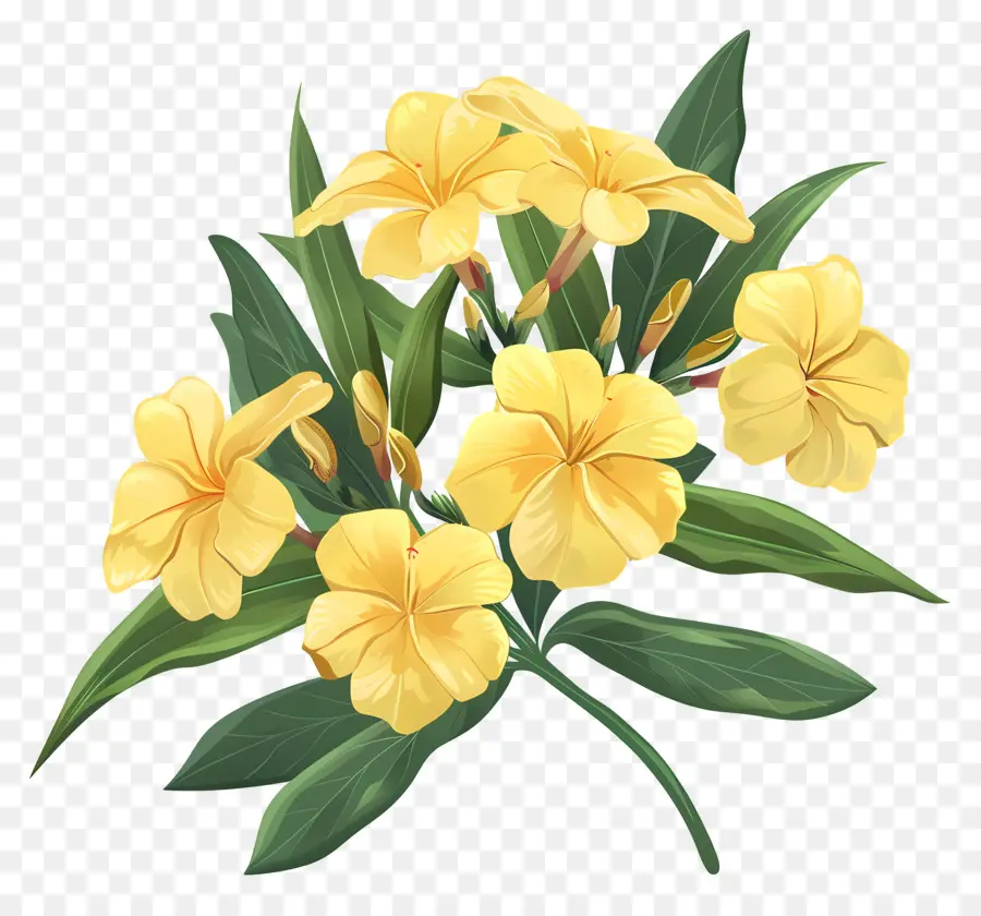 Oleander，Bunga Kuning PNG