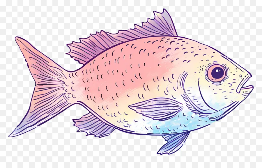 Ikan，Akuatik PNG