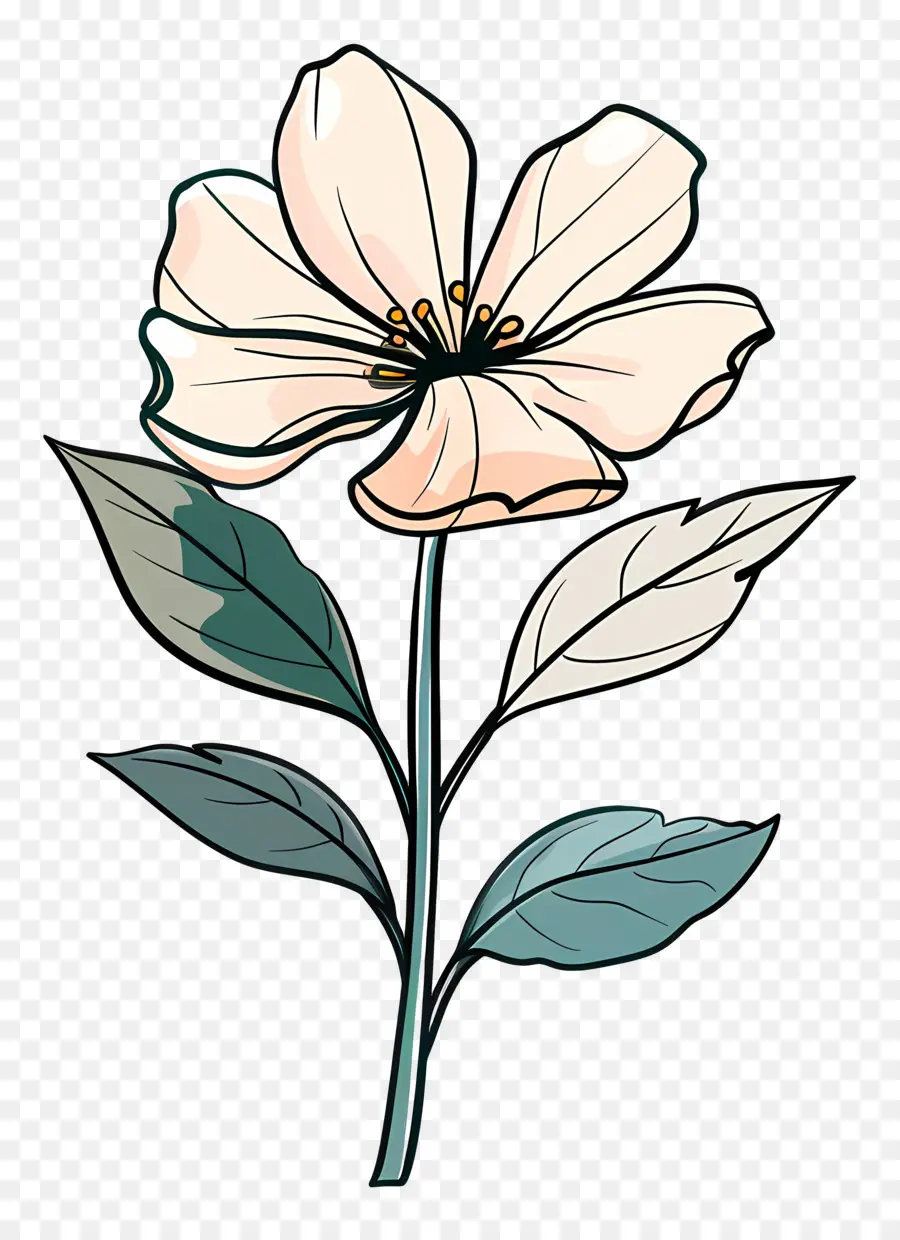 Bunga Putih，Bunga PNG