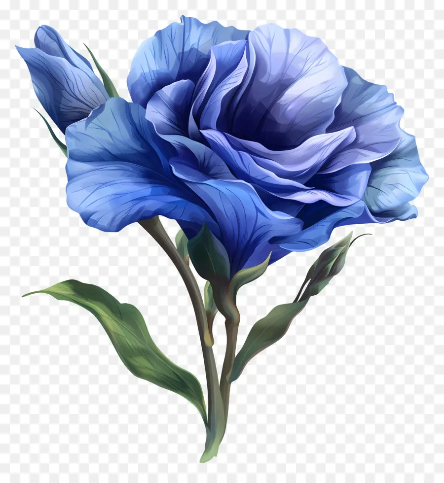 Lisianthus Biru，Bunga Ungu PNG