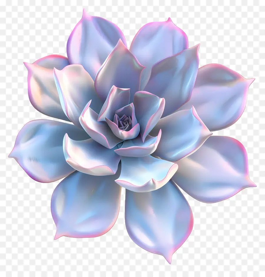 Tanaman Sukulen，1 Succulent PNG