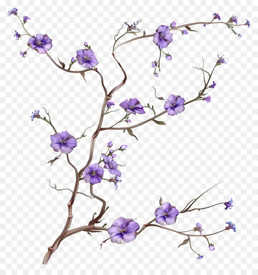Bunga Ungu Kecil，Cabang Pohon PNG