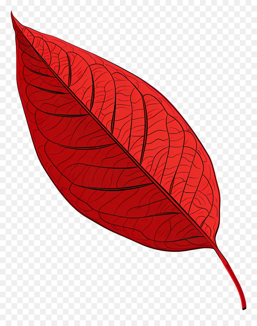 Clipart Daun Merah，Daun Merah PNG