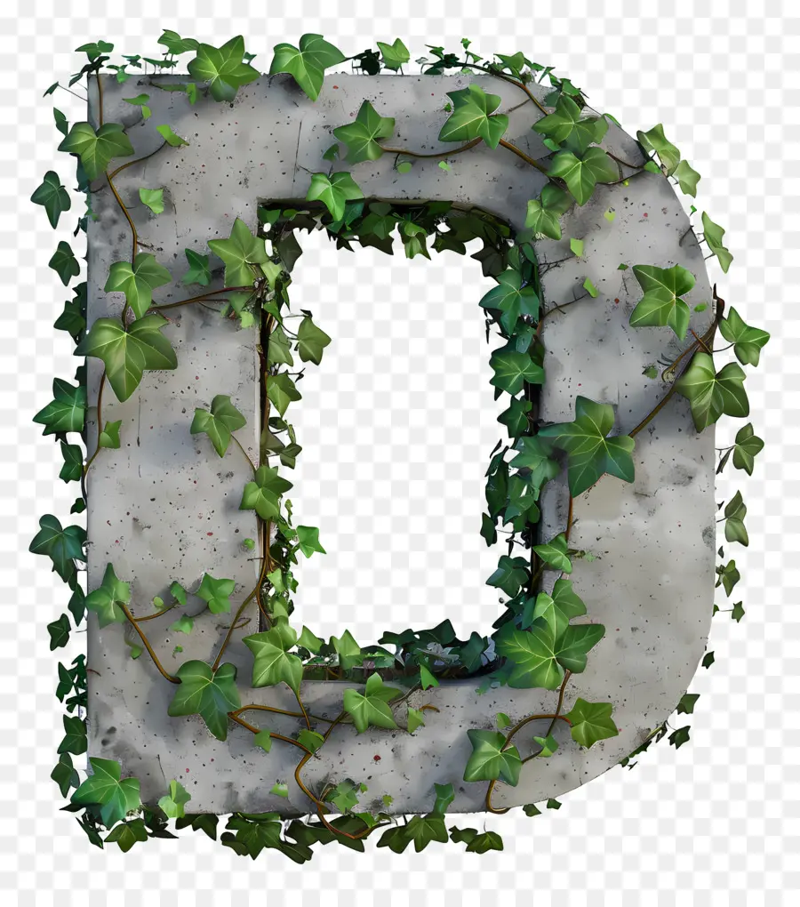 Huruf D，Ivy PNG