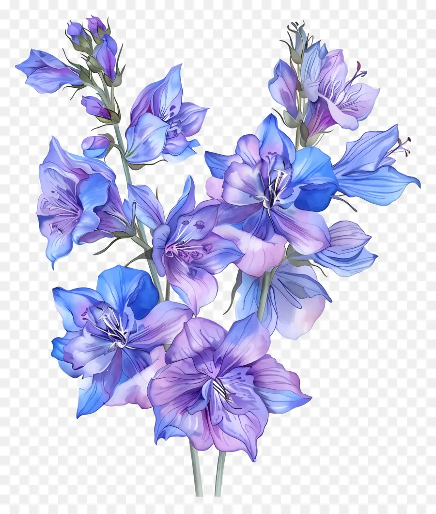 Bunga Larkspur，Bunga Bunga Ungu PNG