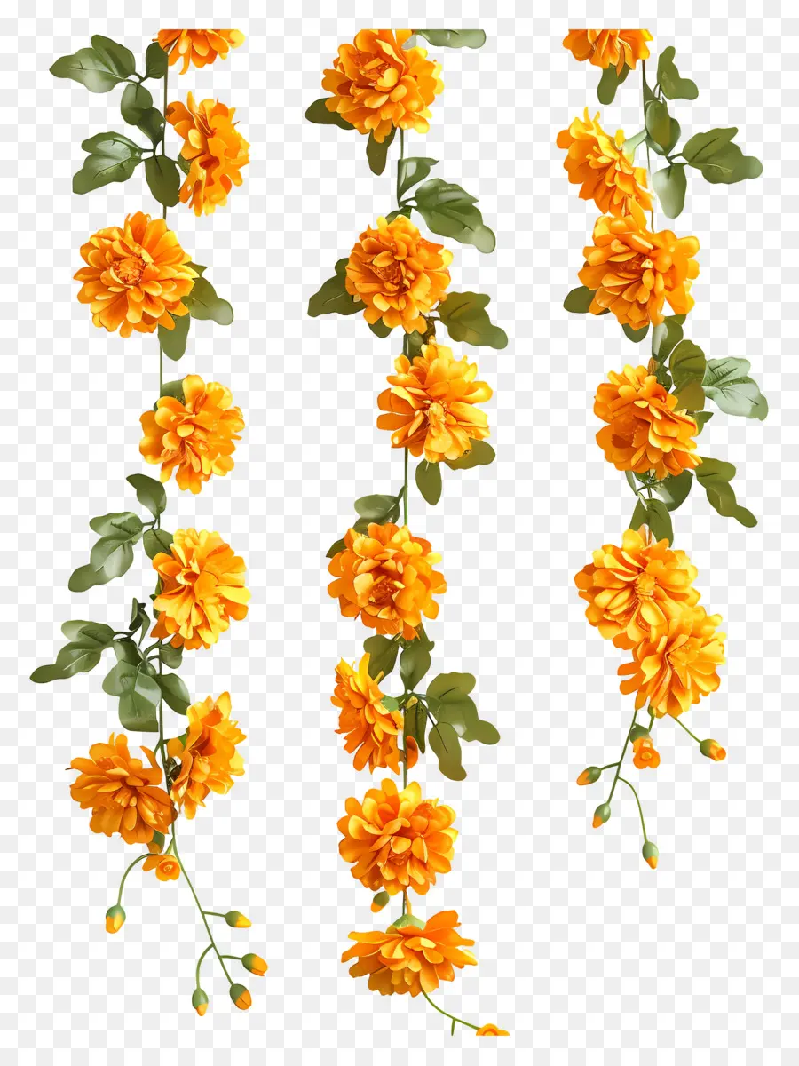 Karangan Bunga Marigold，Bunga Kuning PNG