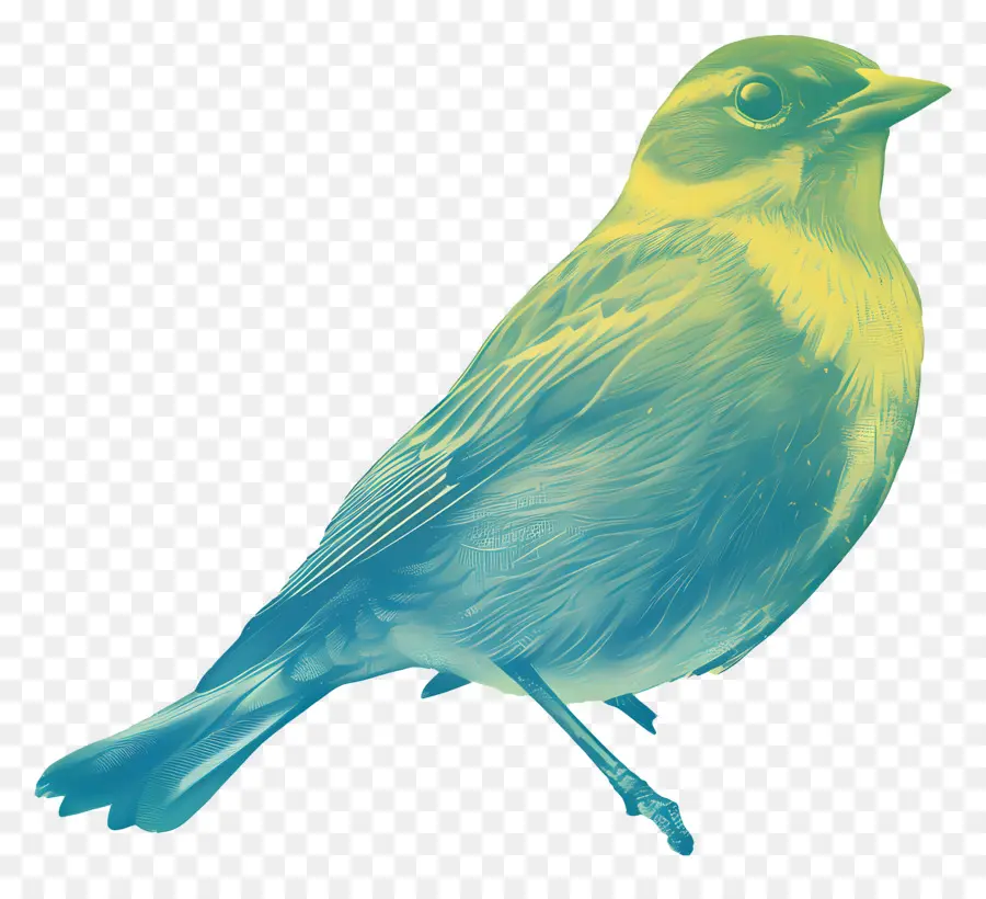 Burung，Burung Kuning PNG