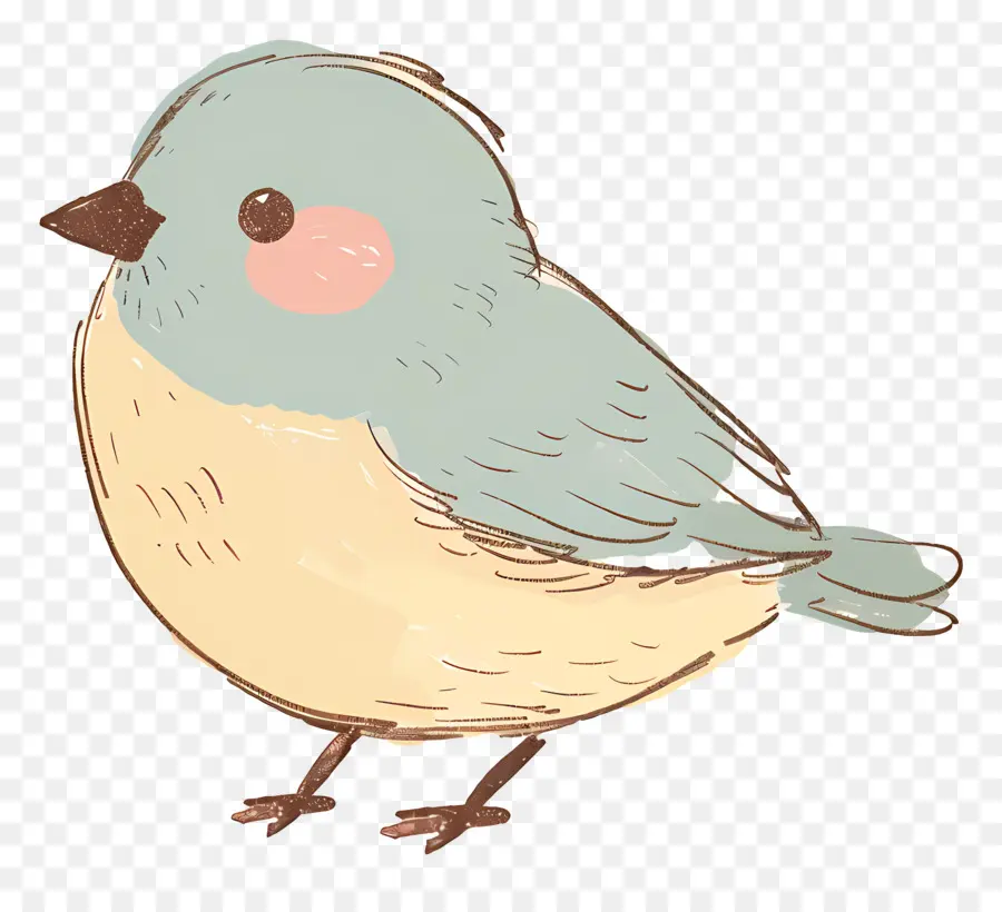 Kartun Burung，Burung Biru PNG