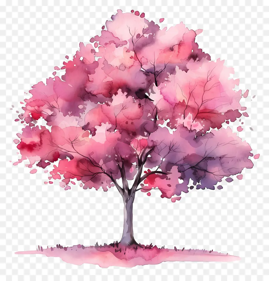 Rencana Pohon Cat Air，Bunga Merah Muda PNG