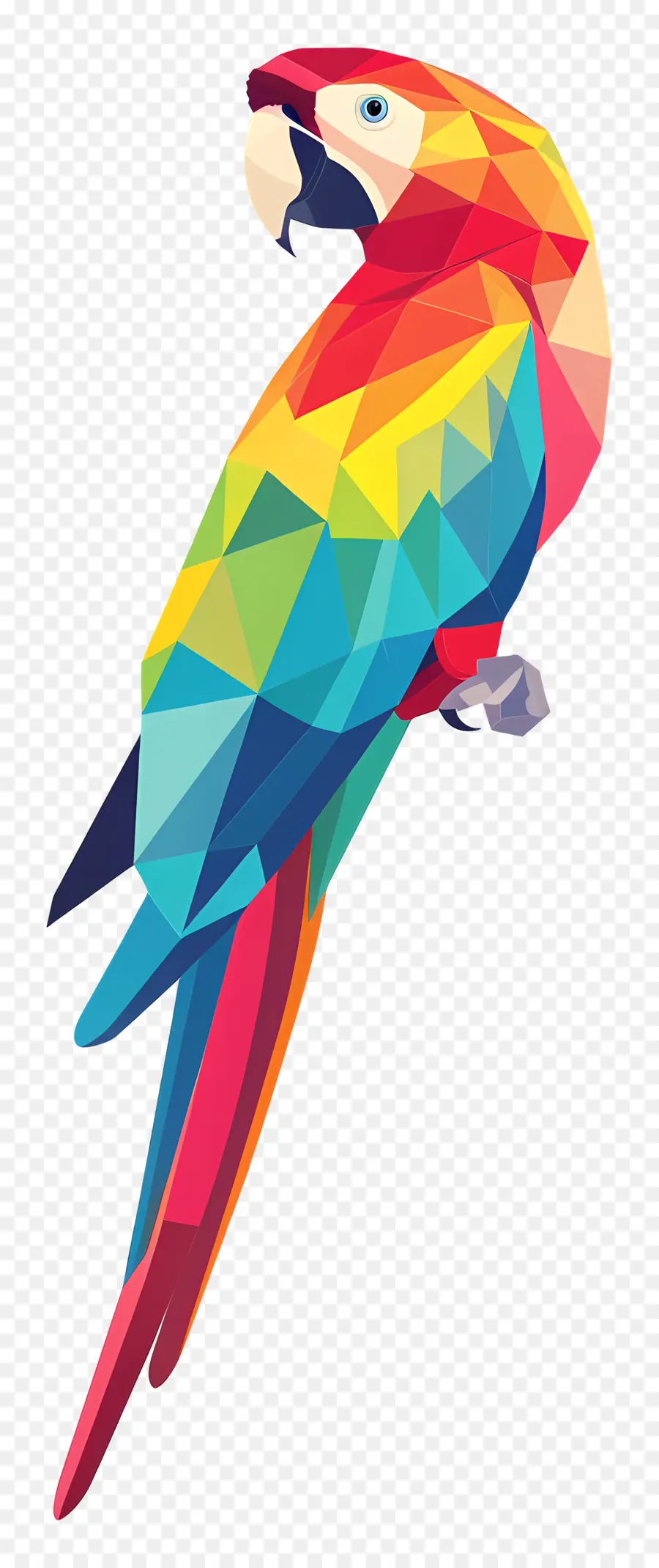 Burung Beo，Parrot Pelangi PNG