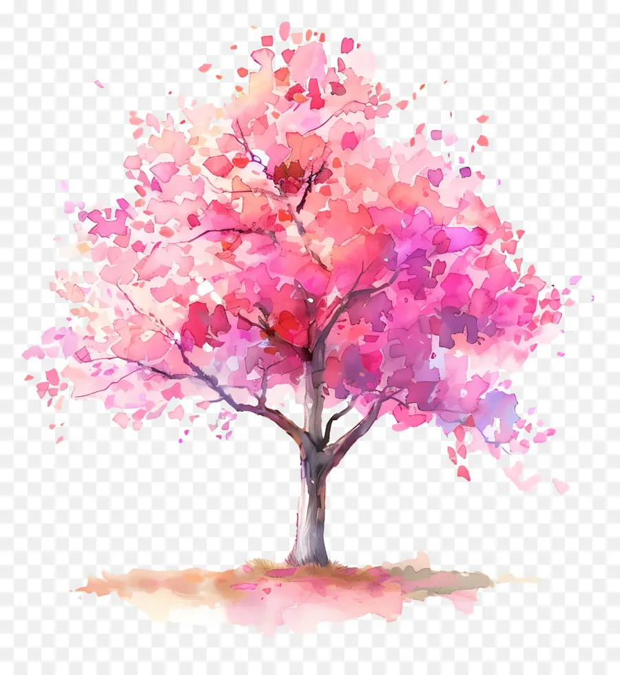 Rencana Pohon Cat Air，Bunga Sakura PNG