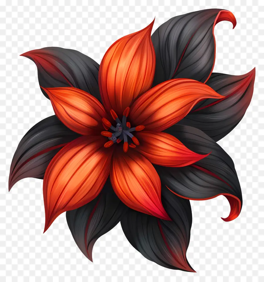 Bunga Sederhana，Bunga Merah PNG