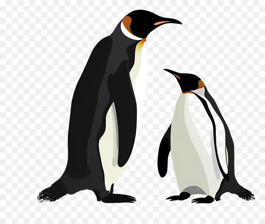 Penguin，Satwa Liar PNG