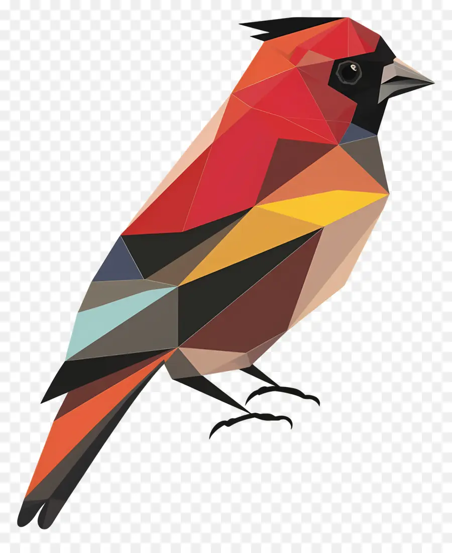 Burung，Warna Warni Burung PNG