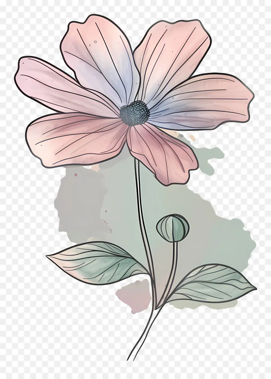Doodle Bunga，Bunga Merah Muda PNG