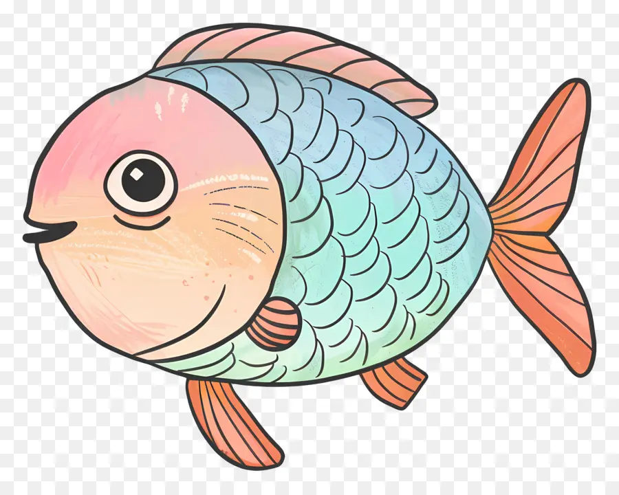 Ikan，Ikan Warna Warni PNG