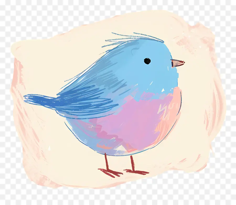 Burung Biru，Warna Warni Burung PNG