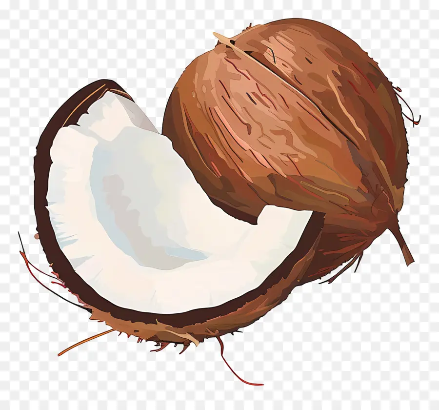 Kelapa，Potongan Kelapa PNG