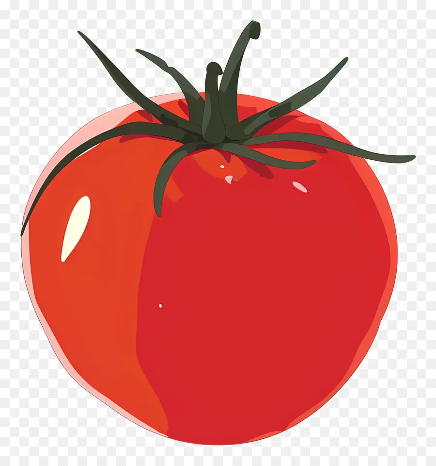 Tomat，Keluarga Nightshade PNG