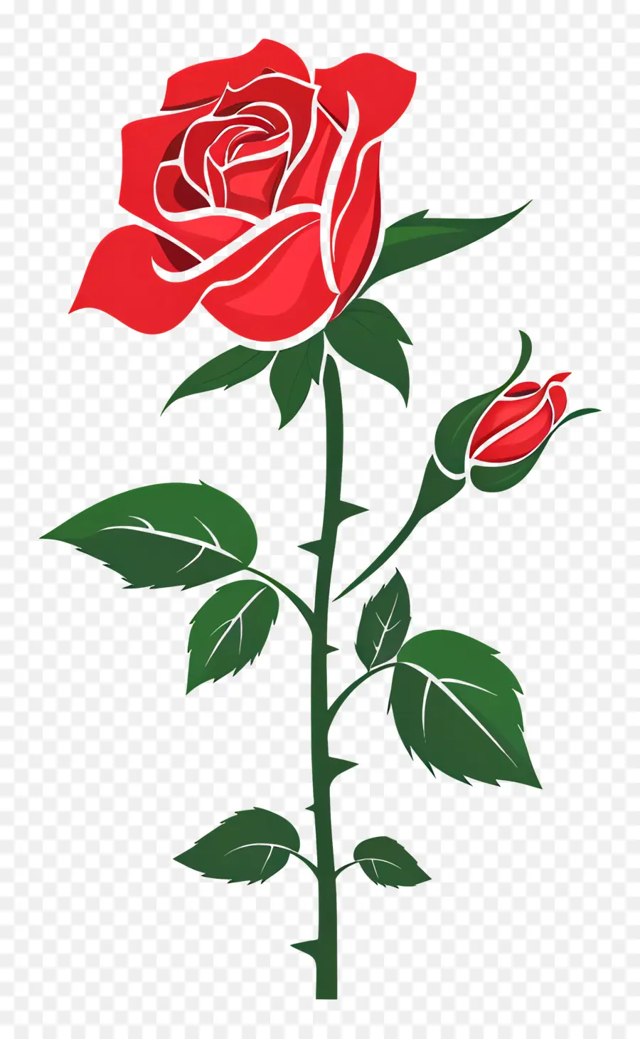 Mawar Taman，Mawar Merah PNG