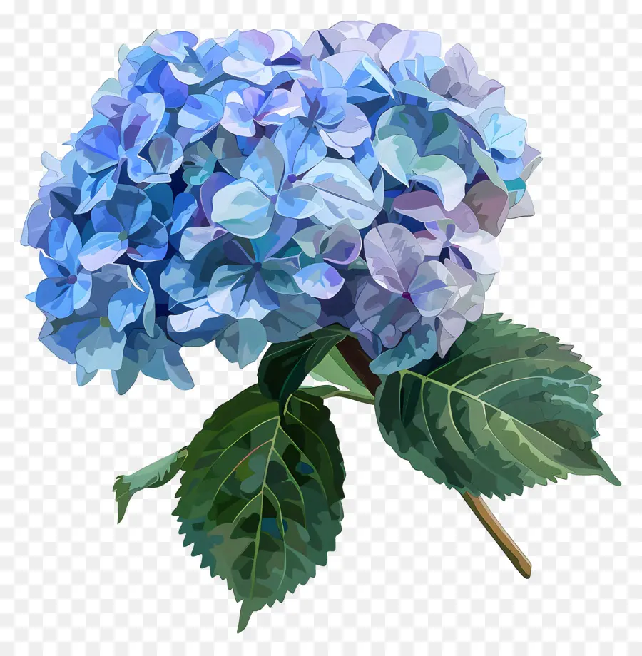 Seni Digital，Hydrangea Biru PNG