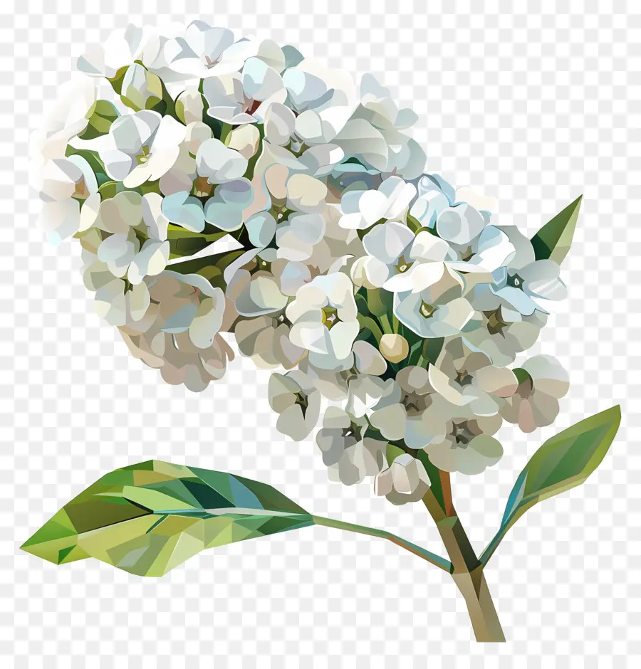 Seni Bunga Digital，Lily Putih PNG
