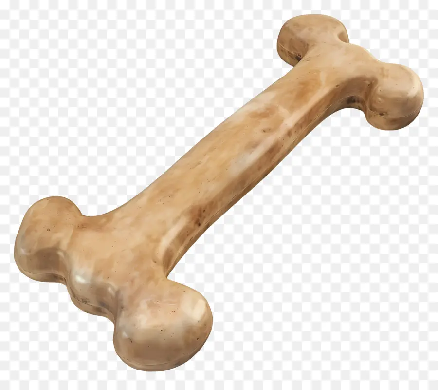 Tulang Anjing，Tulang Yang Dipoles PNG