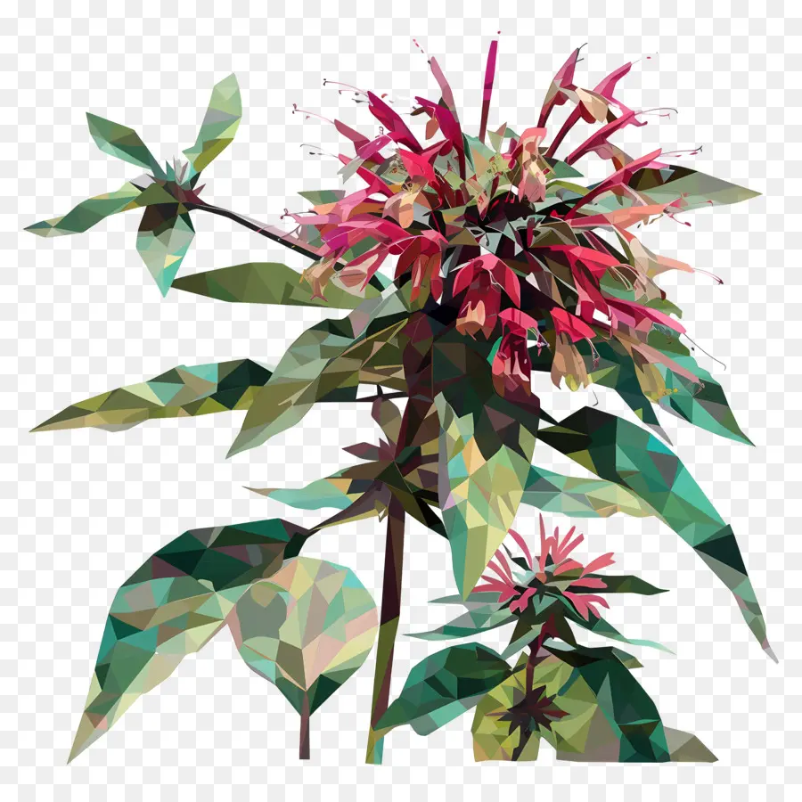 Digital Bunga，Bunga Merah PNG