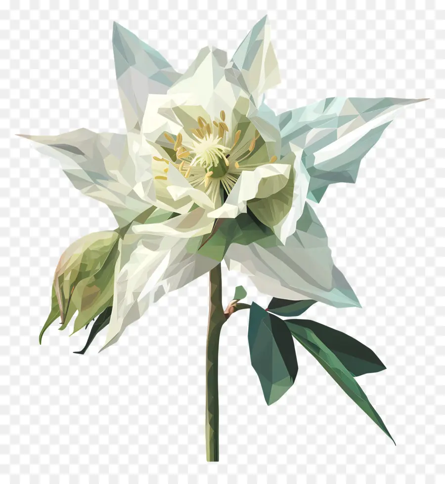 Digital Bunga，Lily Putih PNG