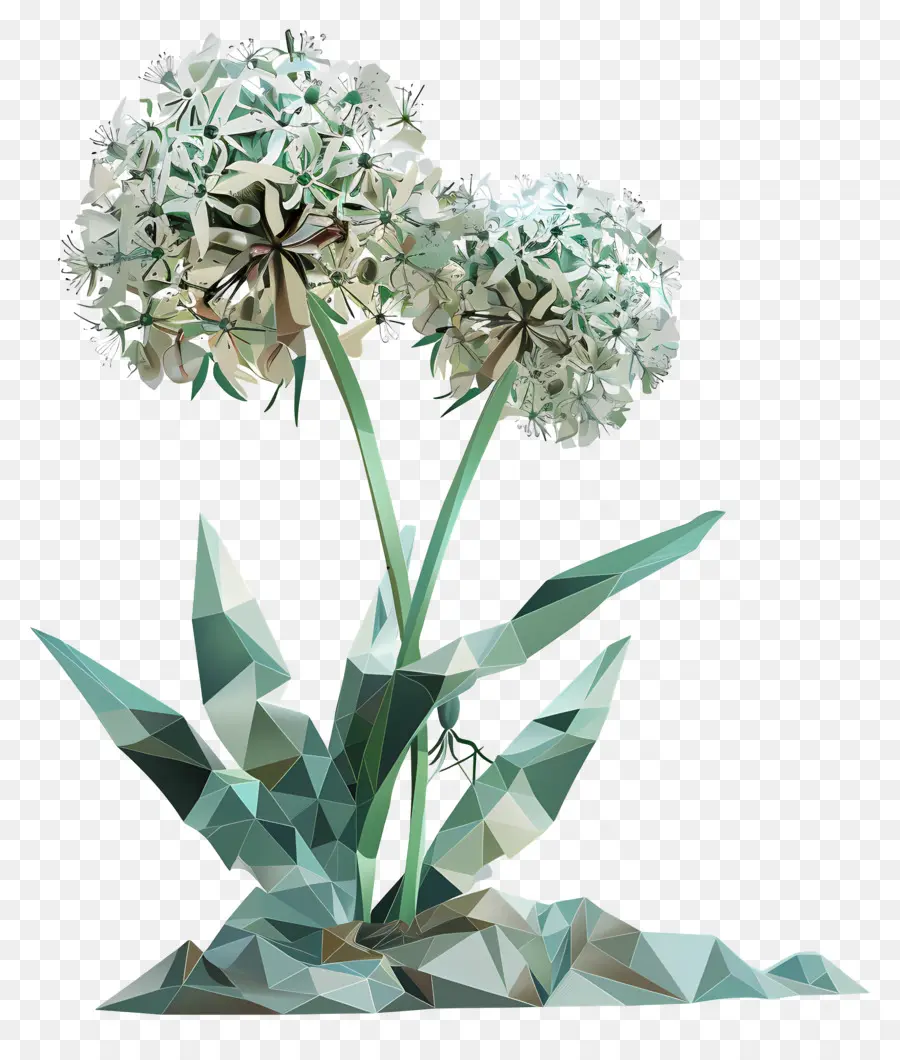 Digital Bunga，Bawang Putih PNG