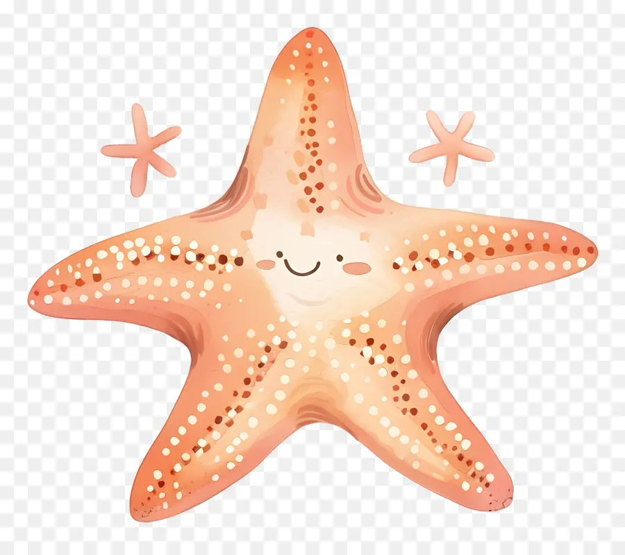 Starfish Lucu，Starfish Animasi PNG