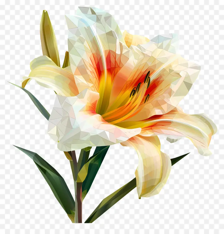 Digital Bunga，Lily Putih PNG