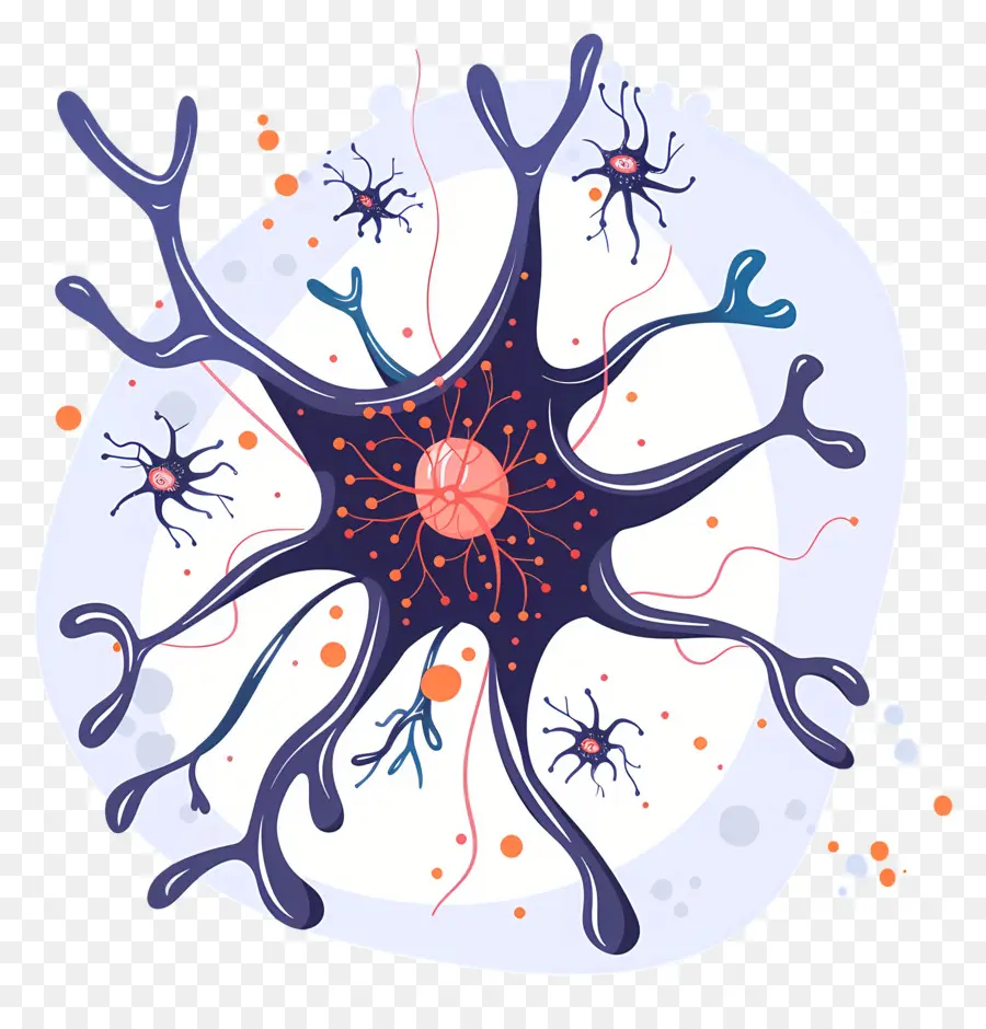 Neuron，Neuron Glia PNG