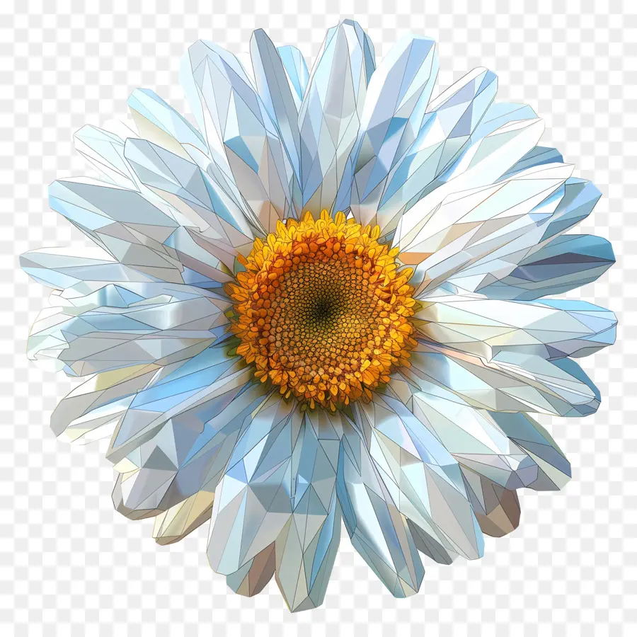 Seni Bunga Digital，Daisy Putih PNG