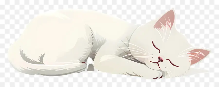 Kucing Tidur，Kucing Putih PNG