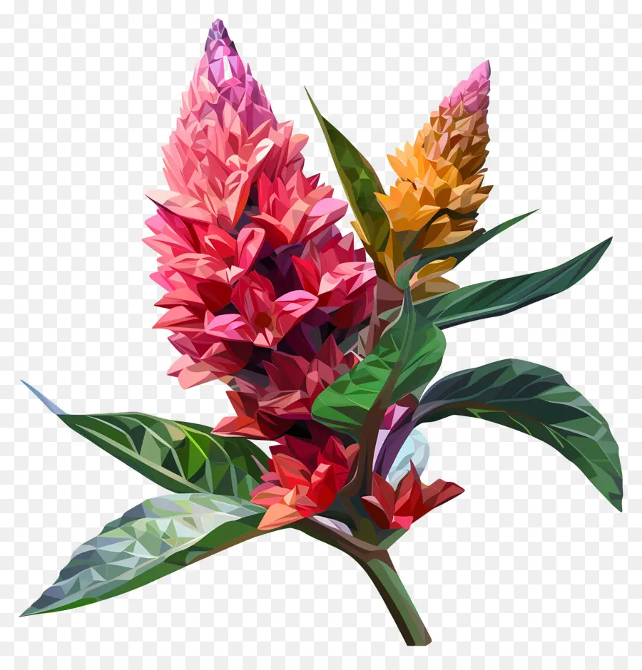 Digital Bunga，Bunga Berwarna Warni PNG
