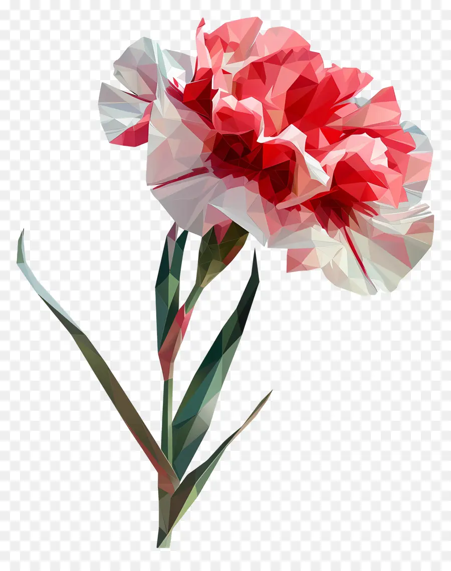 Digital Bunga，Anyelir Merah Muda PNG